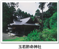玉若酢命神社の外観写真です。クリックすると詳細ページへ移動します。