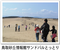 鳥取砂丘情報館サンドパルとっとりの近くの鳥取砂丘の写真です。クリックすると詳細ページへ移動します。