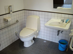 洗面器と洋式トイレを斜めから撮影した画像　クリック・Enterで拡大