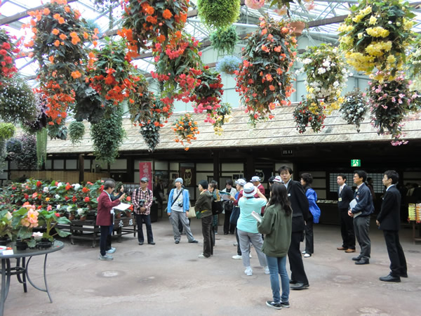フォーゲルパーク内の花回廊の写真