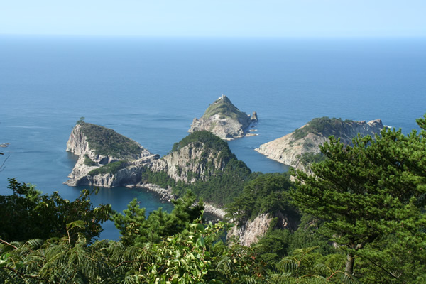 白島展望台から海と山の絶景をを眺めている写真